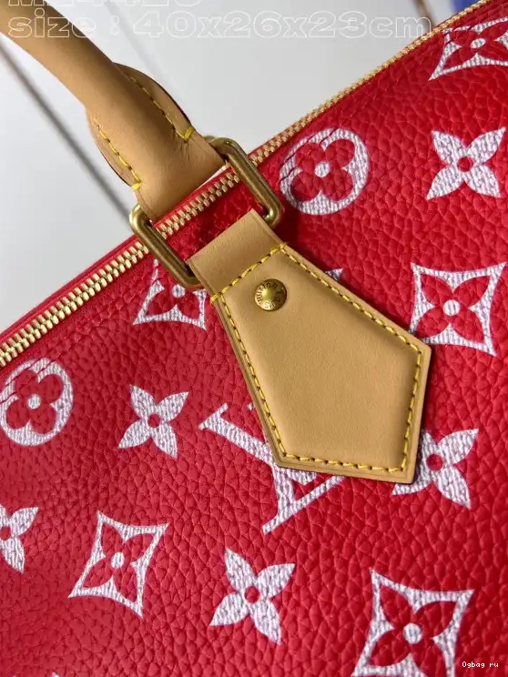 SPEEDY 40 Louis Vuitton 0610